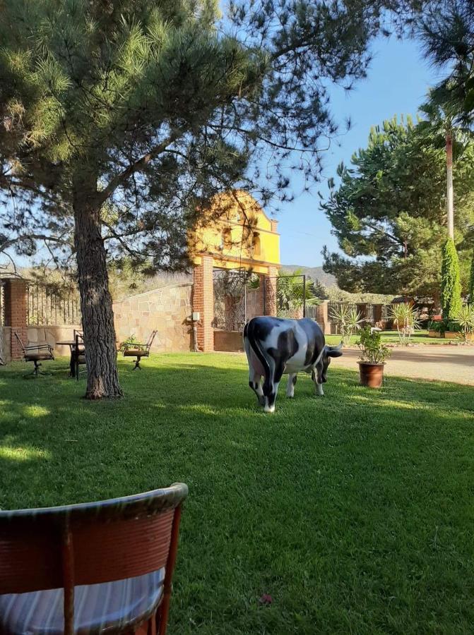 Rancho El Campanario En La Ruta Del Vino Ostello Valle de Guadalupe Esterno foto