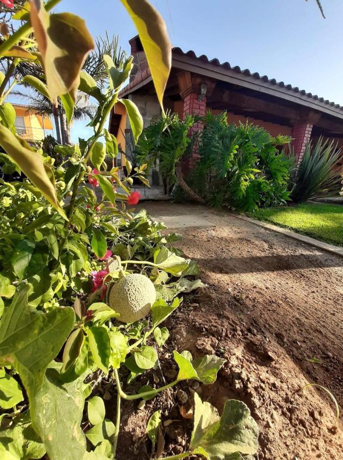 Rancho El Campanario En La Ruta Del Vino Ostello Valle de Guadalupe Esterno foto